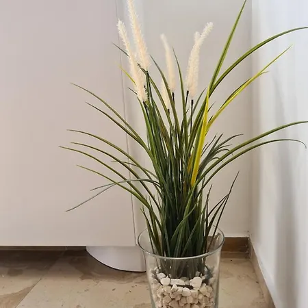 La Cattedrale Sul Mare 3*