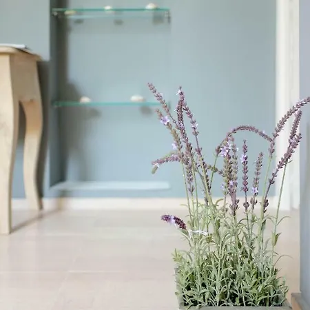 La Cattedrale Sul Mare 3*