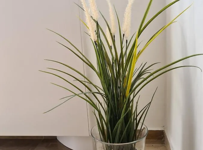 La Cattedrale Sul Mare 3*